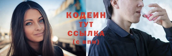 молекула духа Заводоуковск