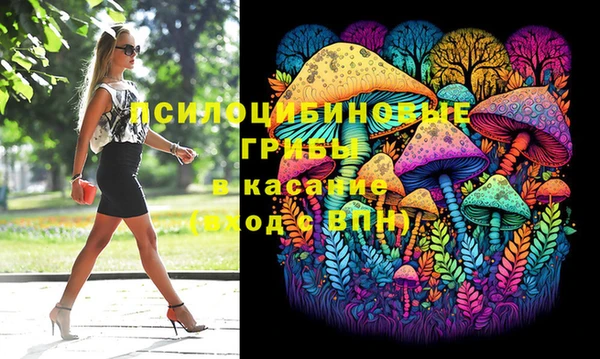молекула духа Заводоуковск