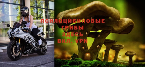 первитин Заволжье