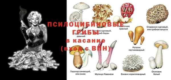 молекула духа Заводоуковск