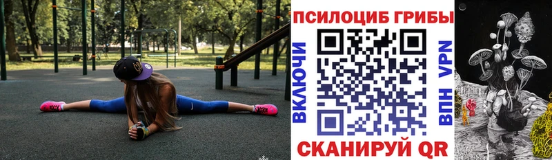 Псилоцибиновые грибы мицелий  Купить где  Кулебаки 