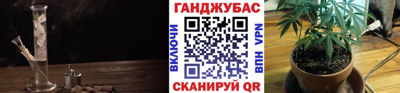 Купить где  Кулебаки  Шишки марихуана ГИДРОПОН 
